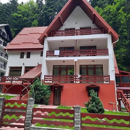 Vila Visinica Predeal Exterior foto