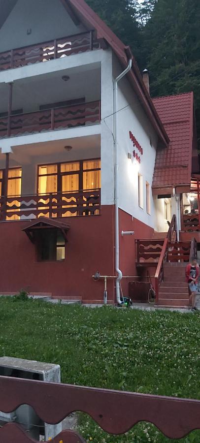 Vila Visinica Predeal Exterior foto