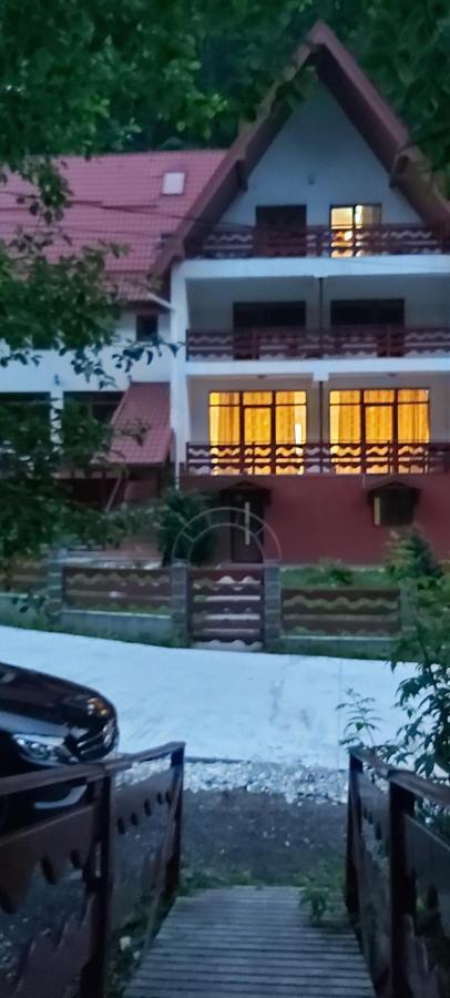 Vila Visinica Predeal Exterior foto