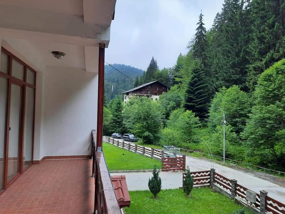 Vila Visinica Predeal Exterior foto