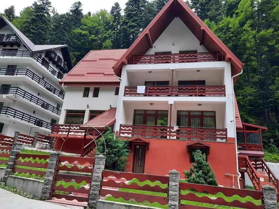 Vila Visinica Predeal Exterior foto