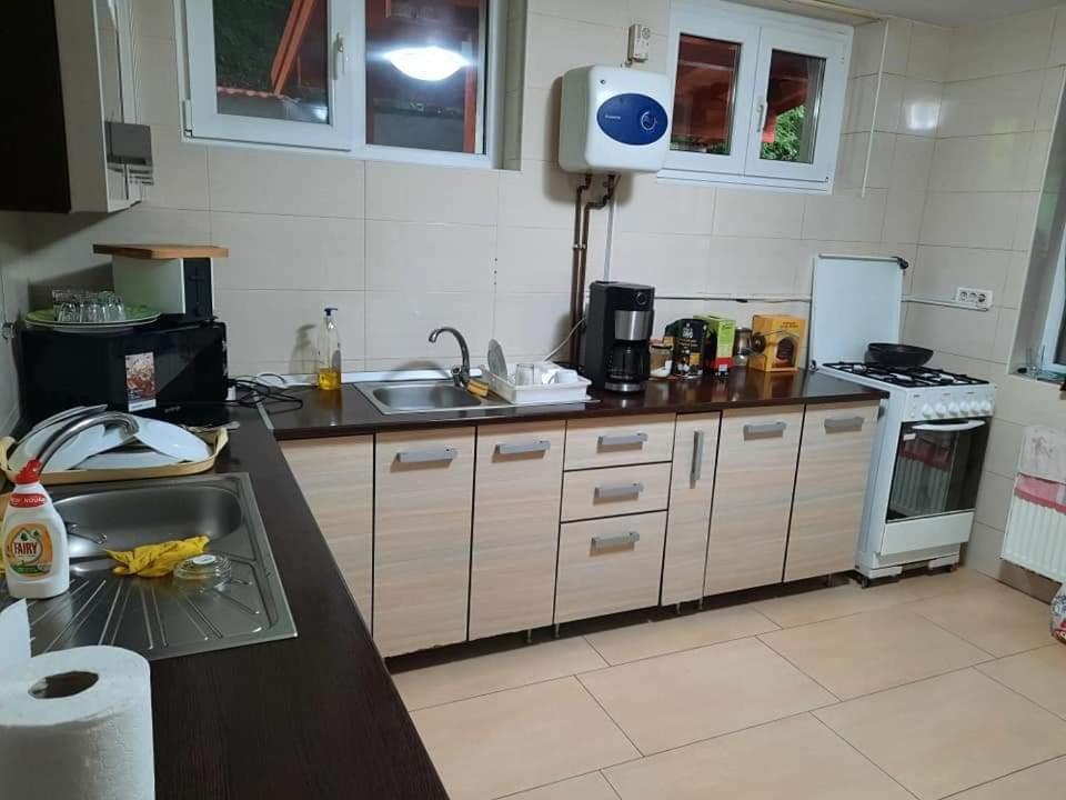 Vila Visinica Predeal Exterior foto