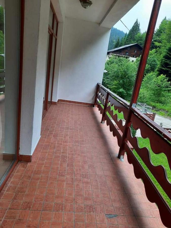 Vila Visinica Predeal Exterior foto