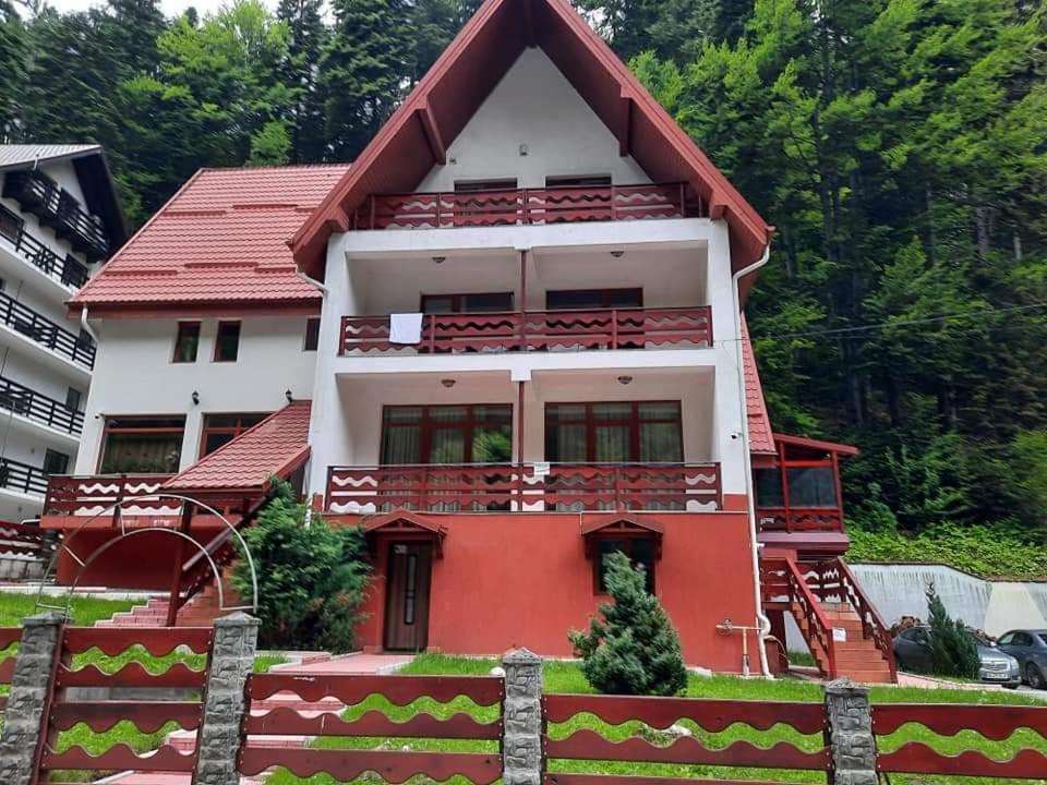 Vila Visinica Predeal Exterior foto