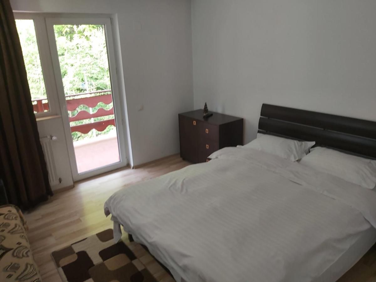 Vila Visinica Predeal Exterior foto