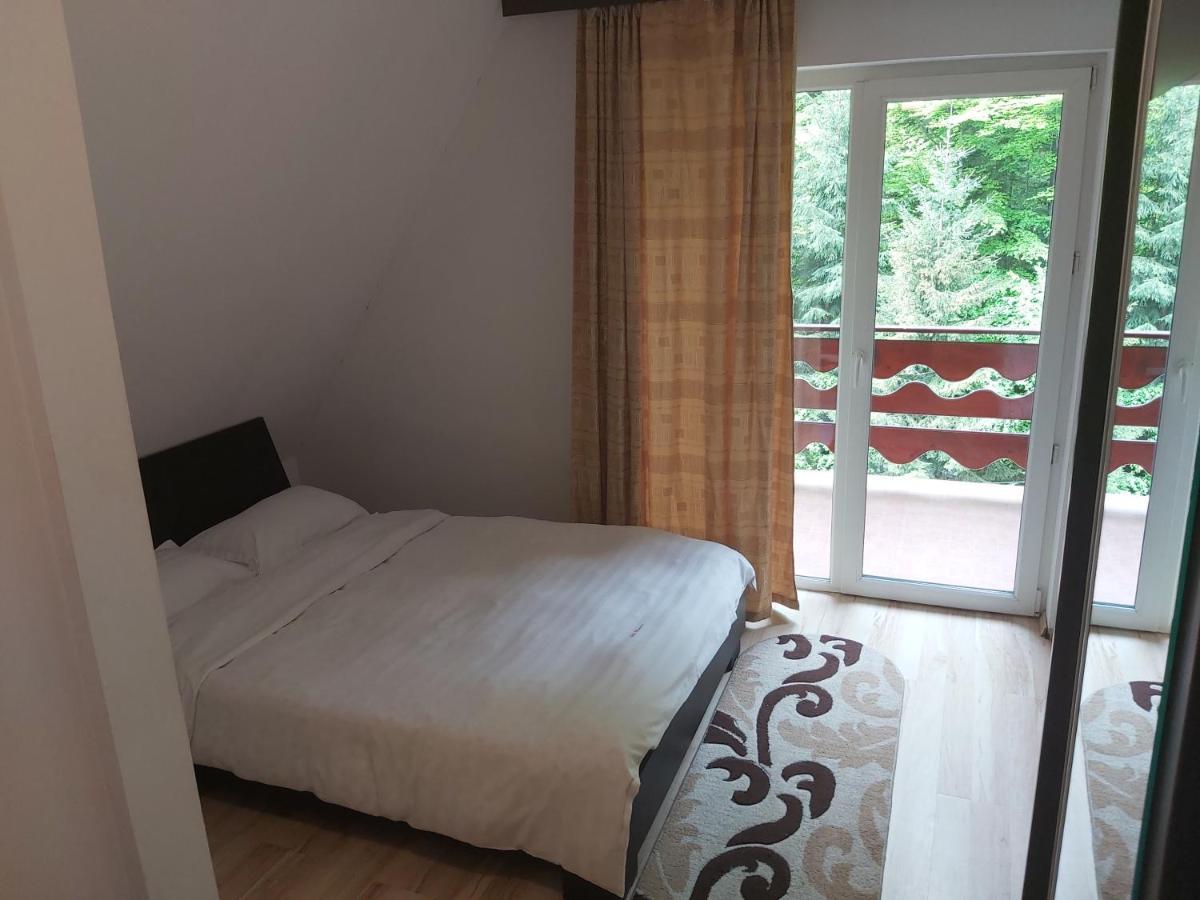 Vila Visinica Predeal Exterior foto