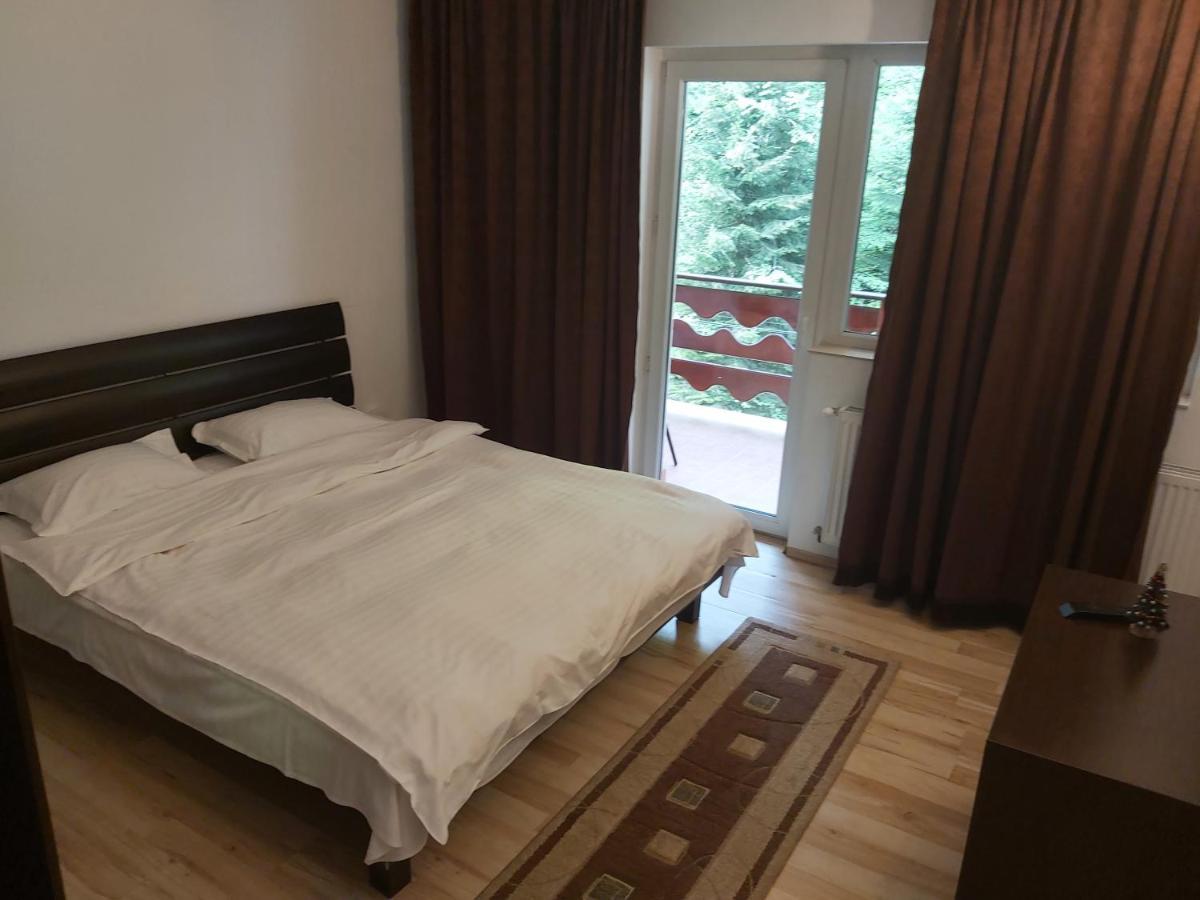 Vila Visinica Predeal Exterior foto