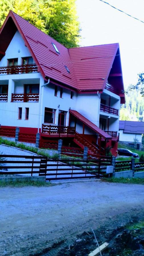 Vila Visinica Predeal Exterior foto